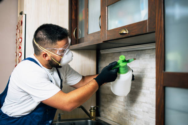 Best Mosquito Control Services  in Martinsburg, WV
