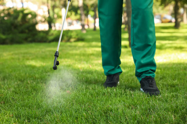 Best Affordable Pest Control Services  in Martinsburg, WV