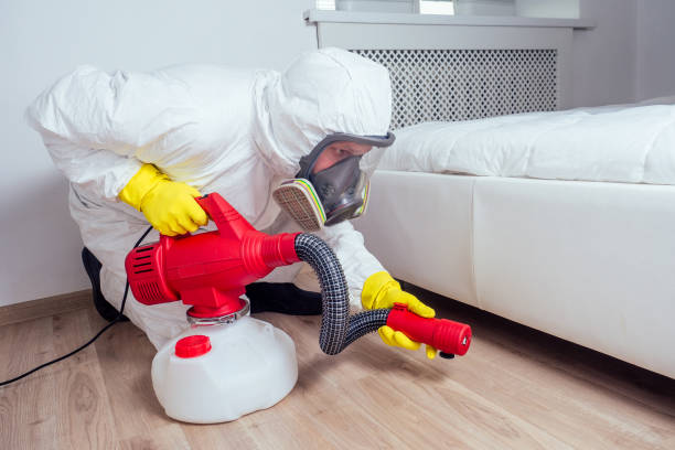 Best Affordable Pest Control Services  in Martinsburg, WV