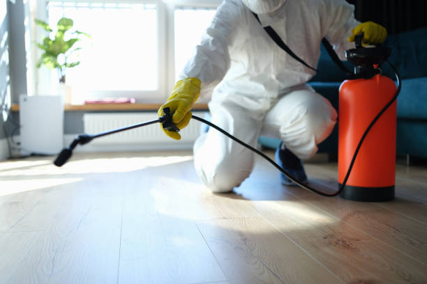 Best Flea Control Services  in Martinsburg, WV