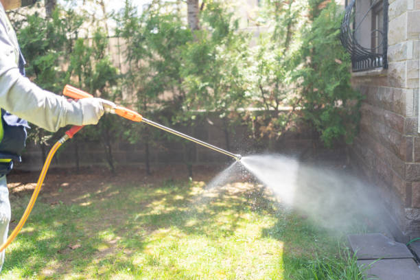 Best Commercial Pest Control Services  in Martinsburg, WV
