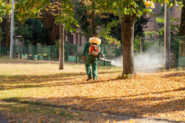 Best Wasp Removal Services  in Martinsburg, WV