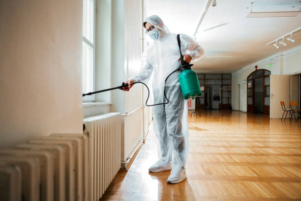 Best Insect Control  in Martinsburg, WV