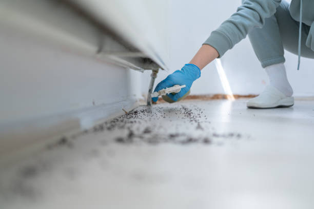Best Pest Control for Restaurants  in Martinsburg, WV
