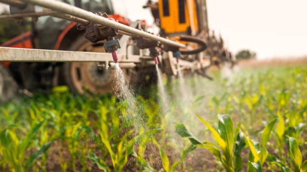 Best Pest Removal Services  in Martinsburg, WV